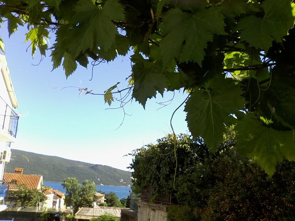 Nicholas Apartment Herceg Novi Exteriör bild